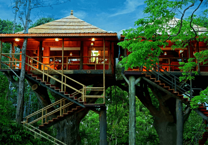 best of kerala with treehouse stay